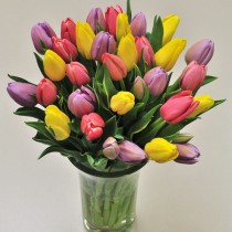 I will give you spring